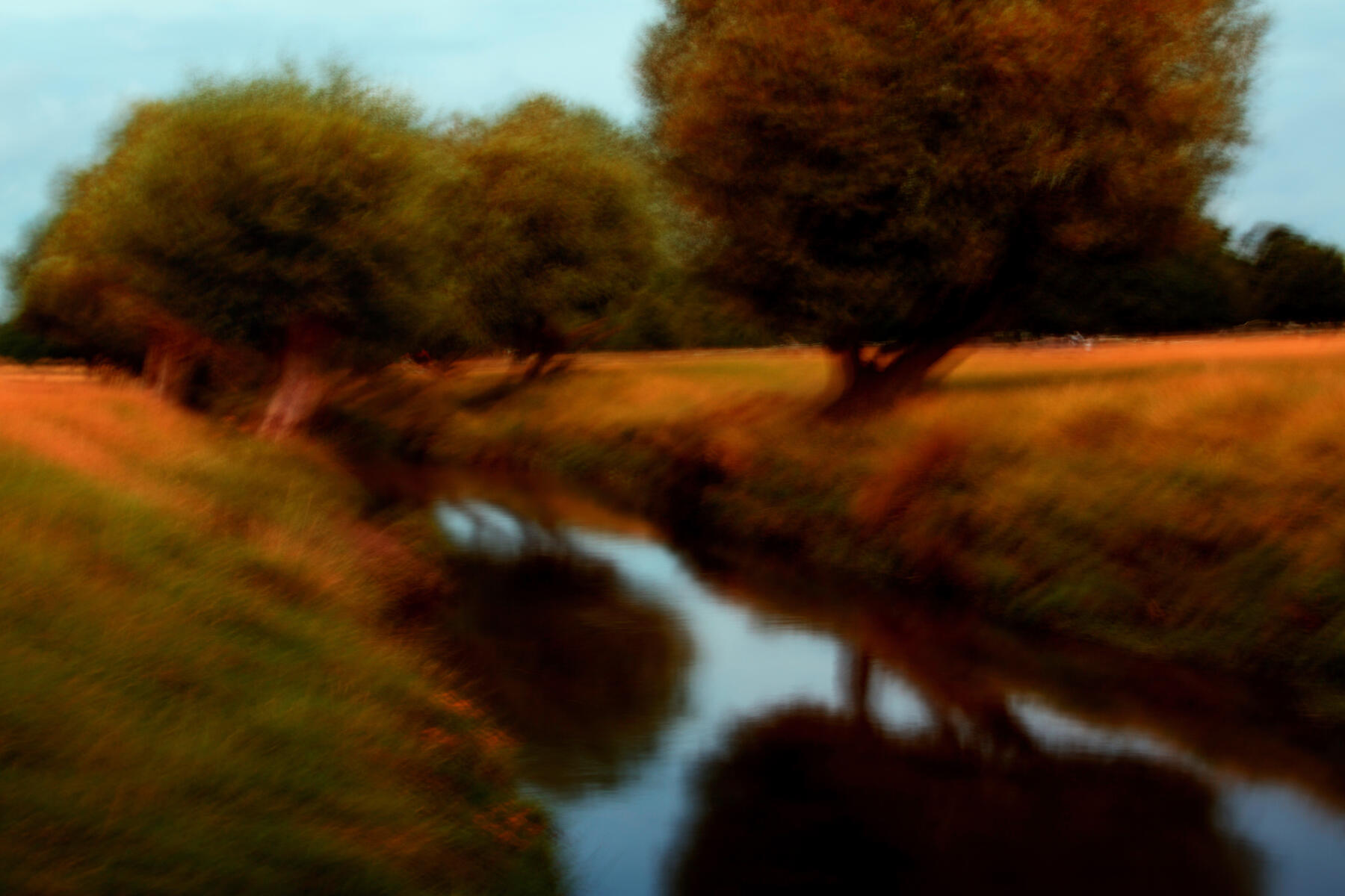 Whispers in Amber